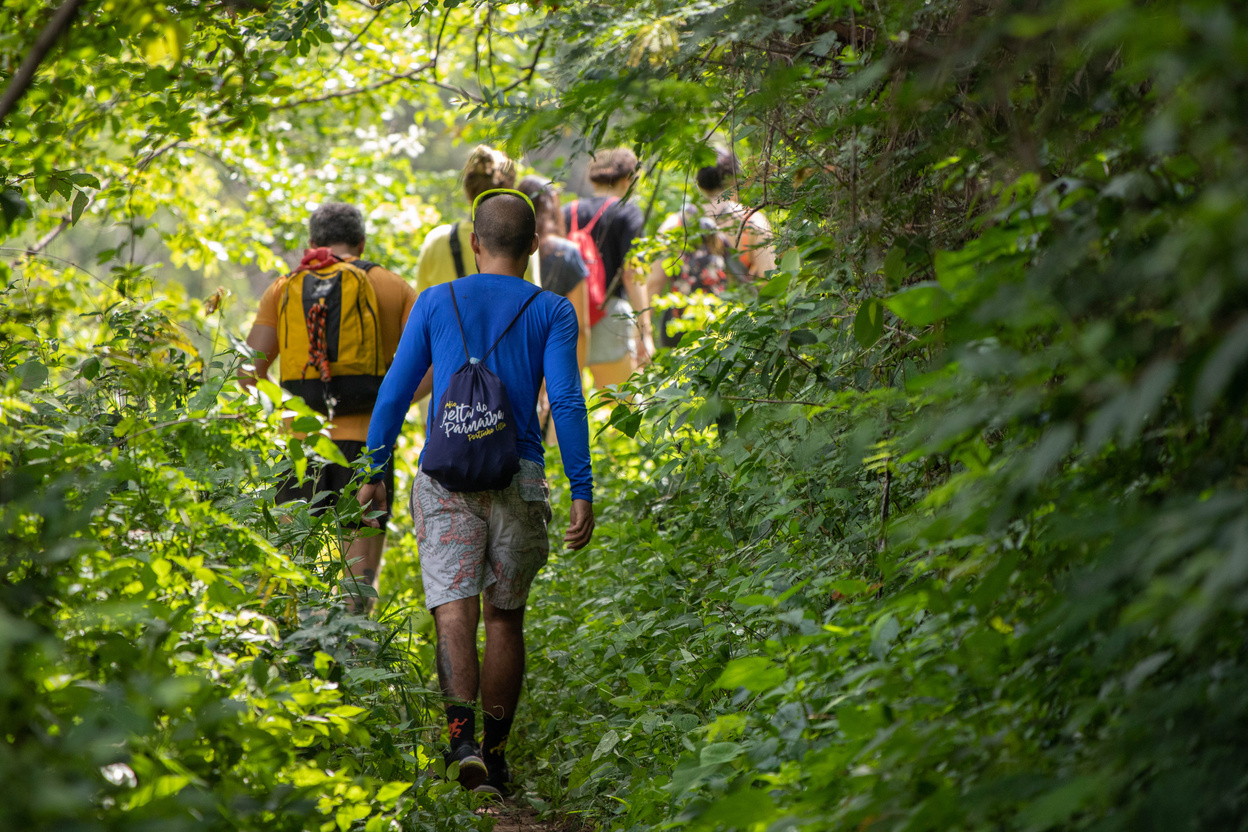 People Walking on Forest